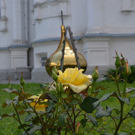 � ������������ ���������� ������� ��������� ������������ ���������� � ������������ ���������