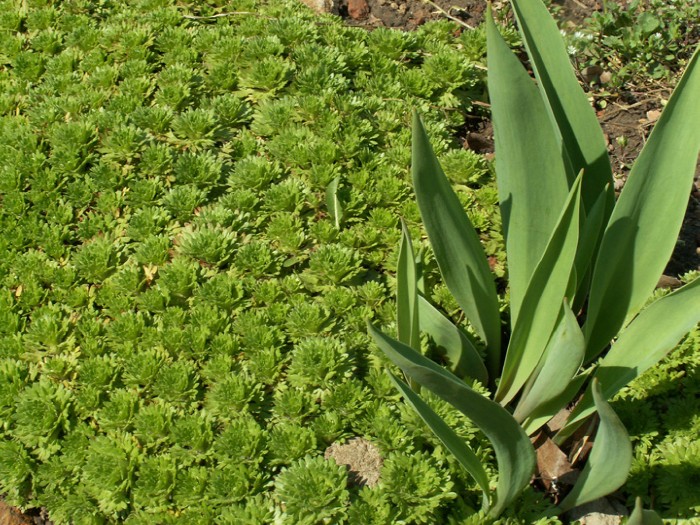 8a