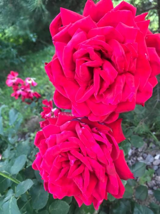 df671e2b-c2e0-4246-b573-4ecdb1e2a9c5