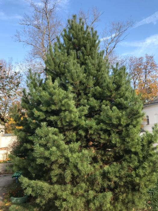 1931139c-a664-4f29-bad3-75fda99cf220