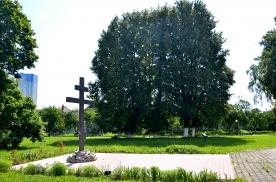 Image00011