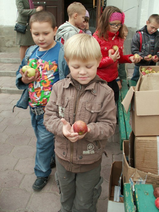 7a  ������������ ������ �� �����