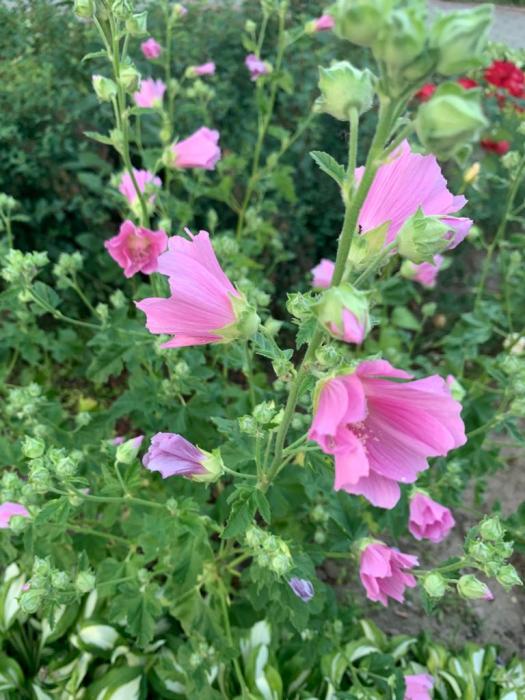 64bdfe80-dbbf-4f6c-b56f-152801b28219