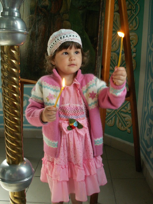 8abc  ���� ���������