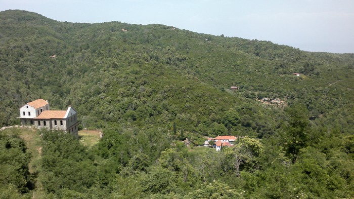 6 ������ ���� ������, ���� ������� �����