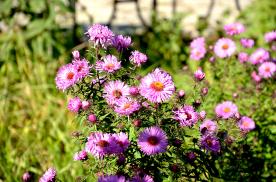 Image00005