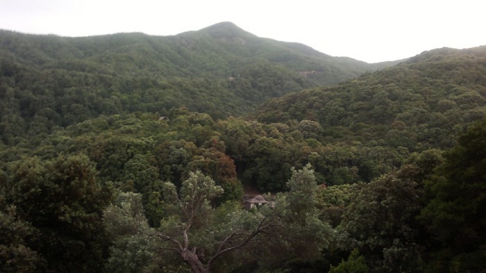 1abcdefi  ����� �����������