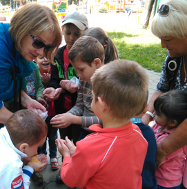 ���������� ��������, ������� � ��������, � ����� � ������ � ����� ������ ��������� � ������� ����� ������������ �����������