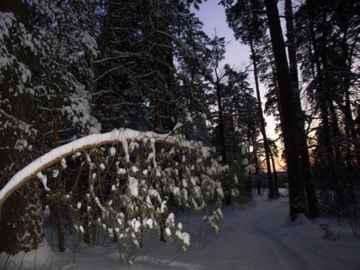 7a � ���� ��� ����������