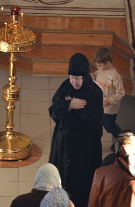 3abcd ����� ����������