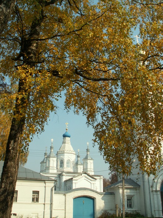 7 ������ ����� � ����� ����