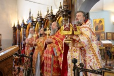 ���������������� ��������, �������� ���������� � �������� ����������