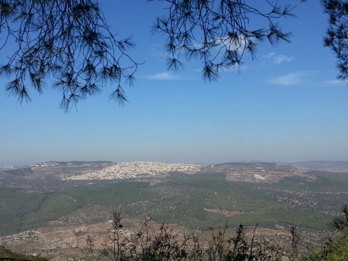 4ab ��� � ���� �����