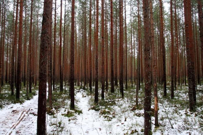 2abcd � ���� ����� � ����������� ��������