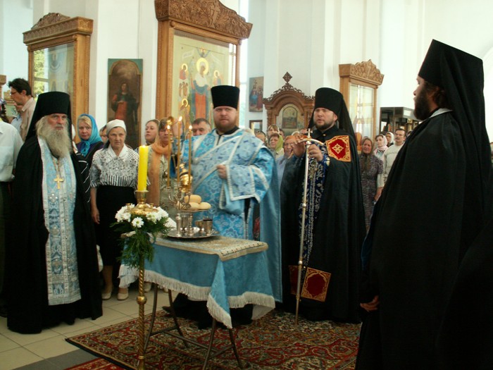 Usp9a ����������� ��������