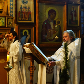 ��������� ��������� ��������