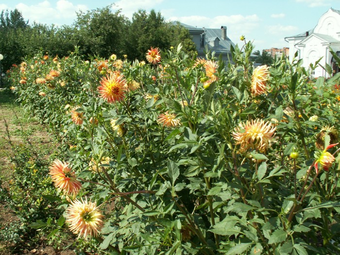 5 ����� � ���������