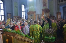 ���� ��������� � ���������