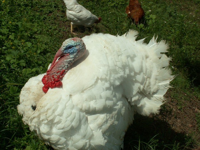 3 �� ������� ����� ��������� ���������