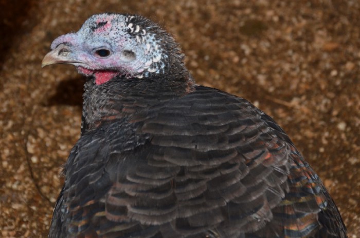 3ab ��� � ��������