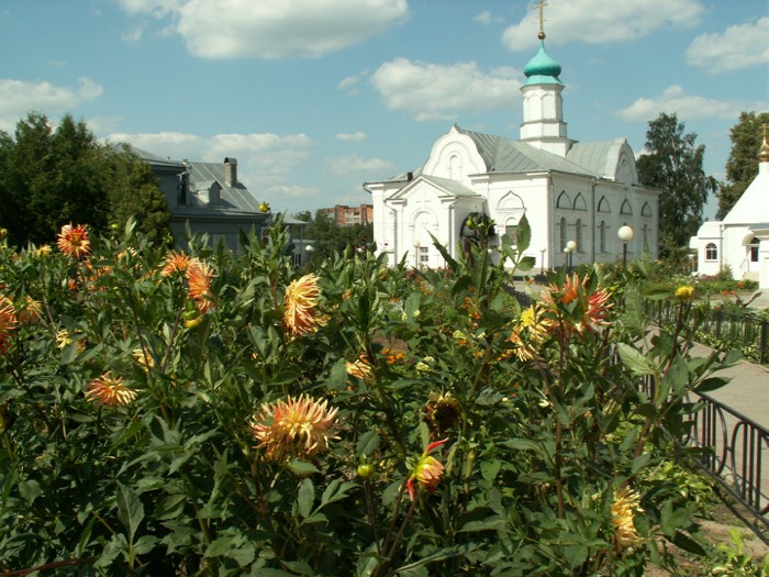 4abcd � ���������