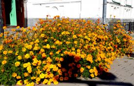 Image00011