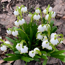 "���� ��������"