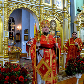 ������� �������� �����������. �����