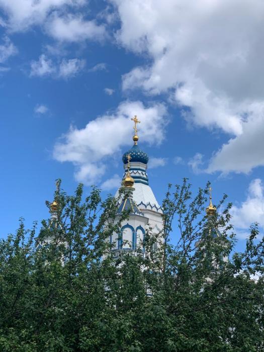 e8bb6181-0009-4465-a4ca-20552b8329ee