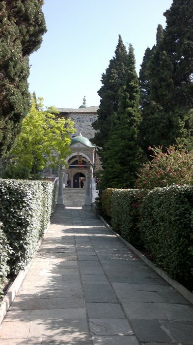 7 ���� � ���������