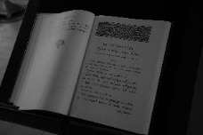 ������� 1-�� ������� �������� �����