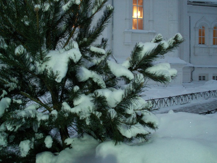 5 � ���������� ���������