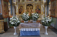 ������� �����. ������������ ������ ������������ �������� ������� ������ ������ ������