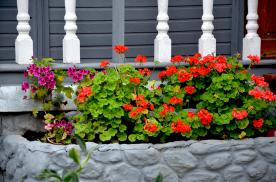 Image00003