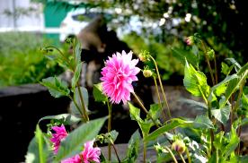 Image00001