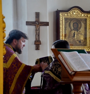 � ������ 5-� �������� �����, ���. ����� ����������. ����� ������ ������, ��������� �����������