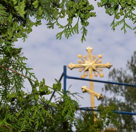 ������� �����, ����� ������� �� ����������� ������� ������������ ������������� ������