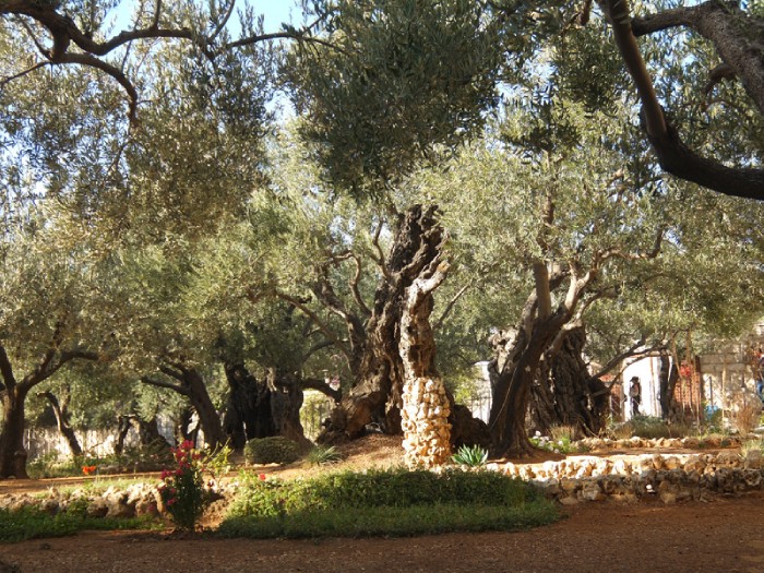 6abcd � ������������ ����