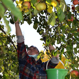 � ������������ ��������������� ���������� ������� ��������� ������ ������ � �������� ��� ����������� ���� �����