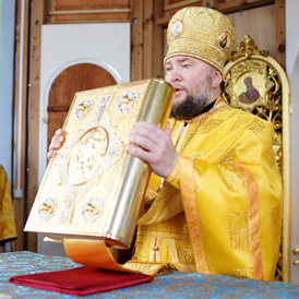 ������������ �������� � ������ �����������. ������������ ������� ��������. �������� �����������.