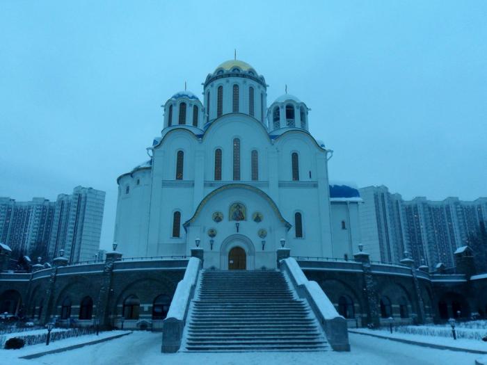 SAM_3446