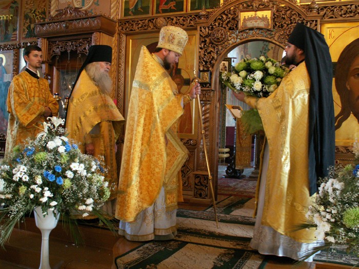 6abcd ������������ �� ������ ������