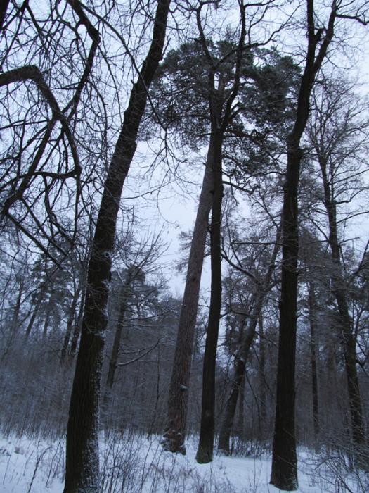 9 � ���� ����� � ������� ��������