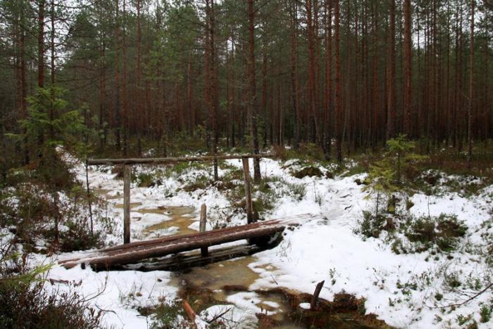 2ab ������ �� ��������