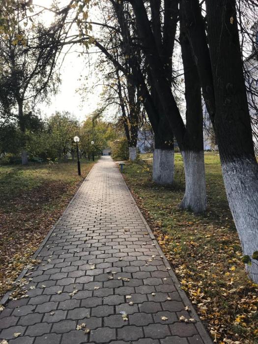 e7b9cd48-3d90-4337-8ea7-93189b026a52