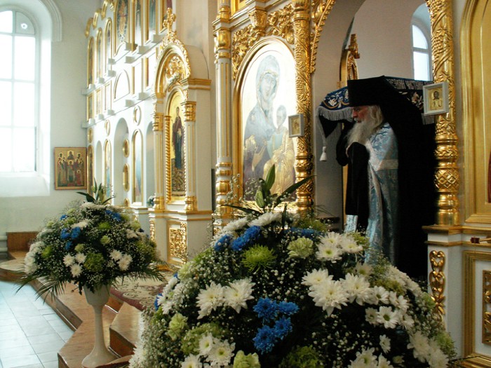 Usp8a ������� ��������� ����������