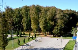 Image00015