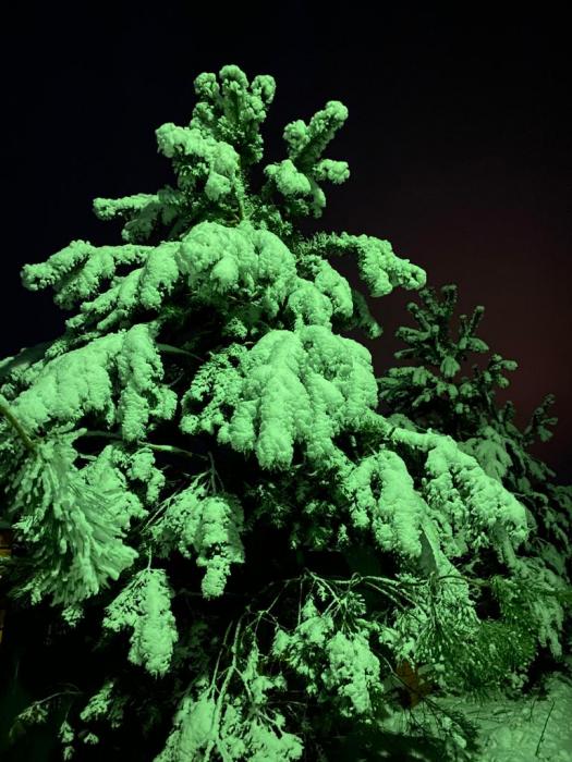 0624608d-1546-482e-8bac-0e4ab67ab725