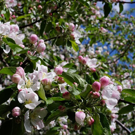 ��������������� ���� � ������� ������ �������