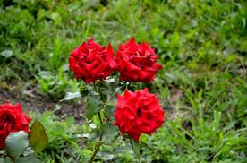 Image00001